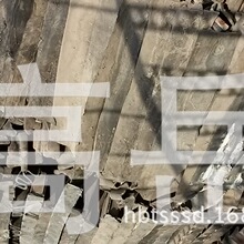 南美洲有种鸟头顶长着“天线”：断了还能再生！