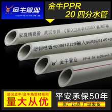 楚汉棋盘风云：中国象棋的智慧博弈