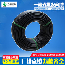 壁球奥运会