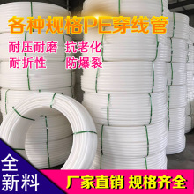 马拉松b区是什么意思
