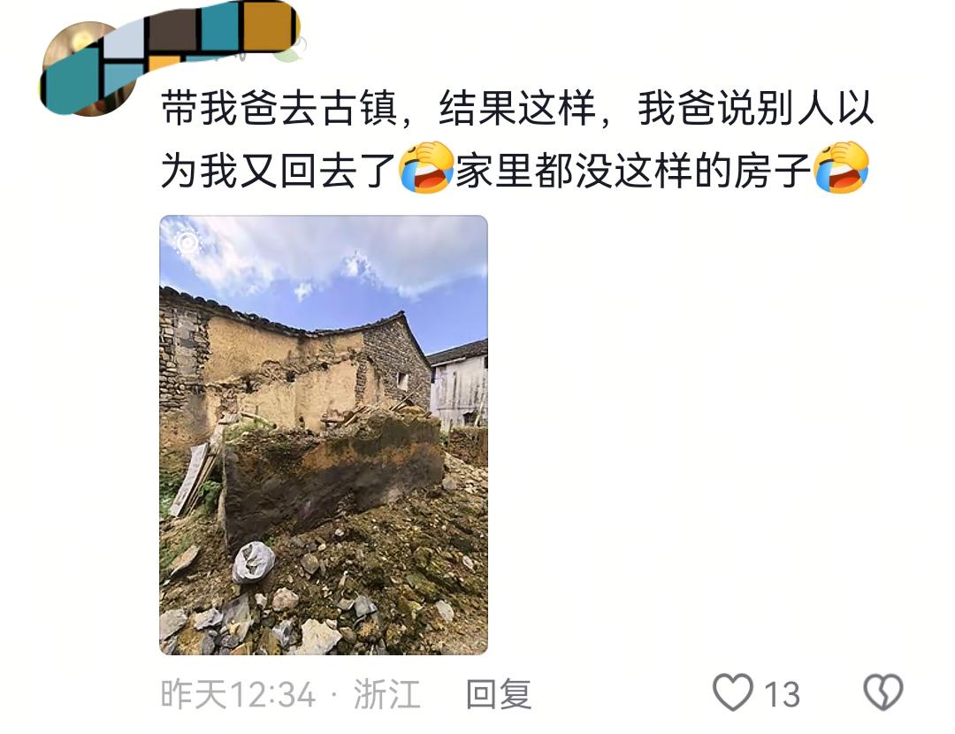 被4米长大白鲨咬住大腿 女子猛击鲨鱼面部断臂求生