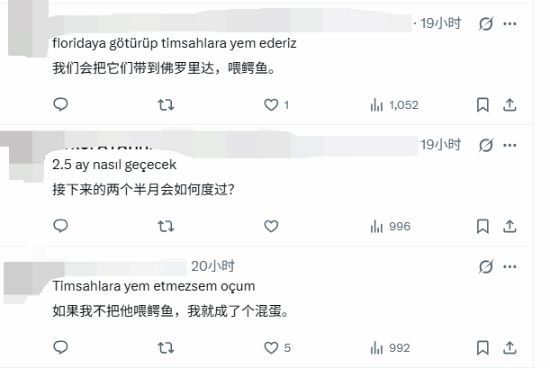 40周年纪念 《三国志14》终极完整版上架Steam 全DLC打包